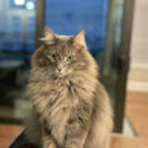 Meet your Posher, Jeff